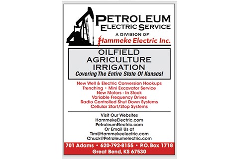Petroleum Electric Service